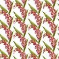 Seamless pattern with burgundy cambria orchids.