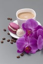 Orchid and white cup of coffee on a gray background Royalty Free Stock Photo