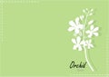 Orchid white paper cut orchid on green background,vector illustration