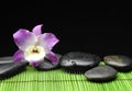 Orchid with zen ston