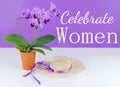 Orchidaceae Phalaenopsis, or moth orchid in terrac cotta pot on a purple and white background with a spring style straw hat. Women Royalty Free Stock Photo