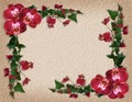 Orchids and Bougainvillea floral border