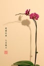 Orchids-Chinese Painting Style Royalty Free Stock Photo