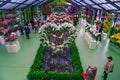 Orchids and colorful spring flowers in the flower shop, Netherlands Royalty Free Stock Photo