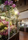 Orchids fascination exhibition of colorful tropical flowers in Garching, Germany