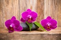 Orchids flowers on wooden background spa massage stones Royalty Free Stock Photo