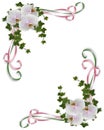 Orchids and ivy border corner design Royalty Free Stock Photo