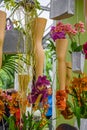 Orchids and legs with high heels in Keukenhof park, Lisse, Holland, Netherlands Royalty Free Stock Photo