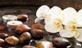 Orchids and pebbles in water background Royalty Free Stock Photo