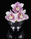 Orchids in a Silver Bowl