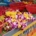 Orchids sold at Campbell Lane