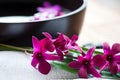 Orchids in spa setting Royalty Free Stock Photo