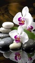 Orchids in Water, Round Stones for SPA Salon, Relaxation, Orchid Flowers and Pebbles Royalty Free Stock Photo