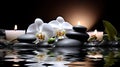 Orchids in Water, Round Stones for SPA Salon, Relaxation, Orchid Flowers and Pebbles Royalty Free Stock Photo