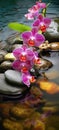 Orchids in Water, Round Stones for SPA Salon, Relaxation, Orchid Flowers and Pebbles Royalty Free Stock Photo