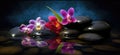 Orchids in Water, Round Stones for SPA Salon, Relaxation, Orchid Flowers and Pebbles Royalty Free Stock Photo