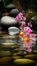 Orchids in Water, Round Stones for SPA Salon, Relaxation, Orchid Flowers and Pebbles Royalty Free Stock Photo