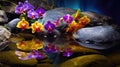 Orchids in Water, Round Stones for SPA Salon, Relaxation, Orchid Flowers and Pebbles Royalty Free Stock Photo