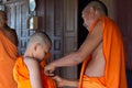 Ordain become a novice monk or little neophyte