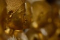 Ordained female monks or Bhikkuni surround Buddha`s sculpture.These are some of the oldest and rarest Bhikkuni statues found in th Royalty Free Stock Photo