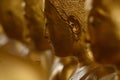 Ordained female monks or Bhikkuni surround Buddha`s sculpture.These are some of the oldest and rarest Bhikkuni statues found in th Royalty Free Stock Photo