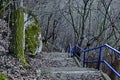 Ordeal walk toward Demir Baba Teke, cult monument honored by both Christians and Muslims in winter near Sveshtari village