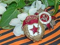 Order `Great patriotic war`, sign of `Guards` on the background of the blooming Apple tree and of the St. George`s ribbon.