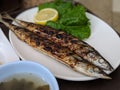 Two grilled mackerel fish resting on a plate