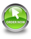 Order now (cursor icon) glossy green round button Royalty Free Stock Photo