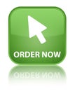 Order now (cursor icon) special soft green square button Royalty Free Stock Photo