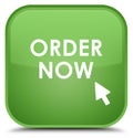 Order now special soft green square button Royalty Free Stock Photo
