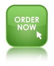 Order now special soft green square button Royalty Free Stock Photo