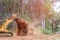 In order to prepare the ground for subdivision development, tractor skid steers were used to uproot trees that were