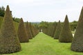 Order and simmetry in the beautiful garden of Versailles palace Royalty Free Stock Photo