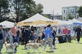 16th Annual San Francisco DogFest 2023 1 Royalty Free Stock Photo