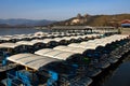 Orderly boats in Summer Palace