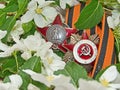Orders of the `Red Star`, `Great patriotic war` on the background of the blooming Apple tree and of the St. George`s ribbon.