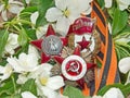Orders of the `Red Star`, `Great patriotic war`, sign of `Guards` on the background of the blooming Apple tree