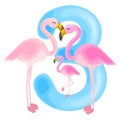 Ordinal number 3 for teaching children counting three flamingos with the ability to calculate amount animals abc