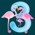 Ordinal number 3 for teaching children counting three flamingos with the ability to calculate amount animals abc