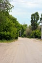 An ordinary asphalt road with traffic lights and large, large trees along the outskirts. Royalty Free Stock Photo