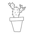 An ordinary cactus in a pot in the Doodle style. Home plant, succulent. Botany. Hand drawn and isolated on a white background.