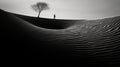 Surrealistic Futuristic Photography: Sand Dune And Tree In Minimalist Figuration