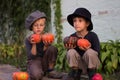 Ordinary kids sitting with Halloween pumpkins Royalty Free Stock Photo