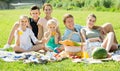 ordinary large family of six having picnic on green lawn in park Royalty Free Stock Photo