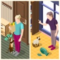 Cat Ordinary Life Isometric Banners