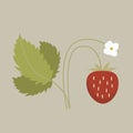 Wild strawberry with a flower and ripe berry