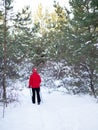 Ordinary woman in red warm sportwear does nordic walking on the snow in the forest in winter outdoor, back view Royalty Free Stock Photo