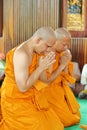 ordination ceremony that change the Thai young men to be the new