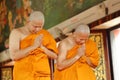 Ordination ceremony that change the Thai young men to be the new